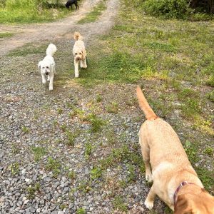Tide Pool Day Camp - Image 7