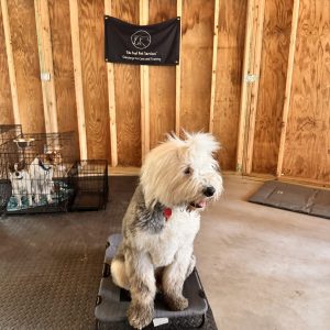 Tide Pool Day Camp - Image 8