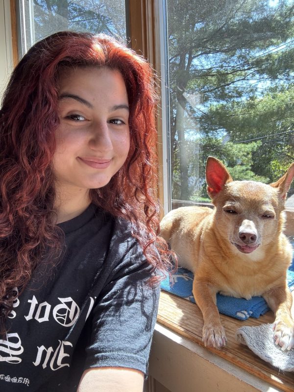 We’ll Come to You – In-Home Meet & Greet