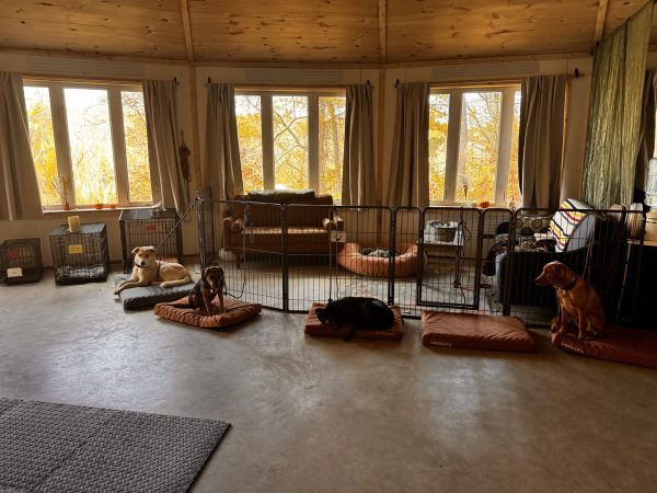 Level Two: Foundations for Focus & Manners