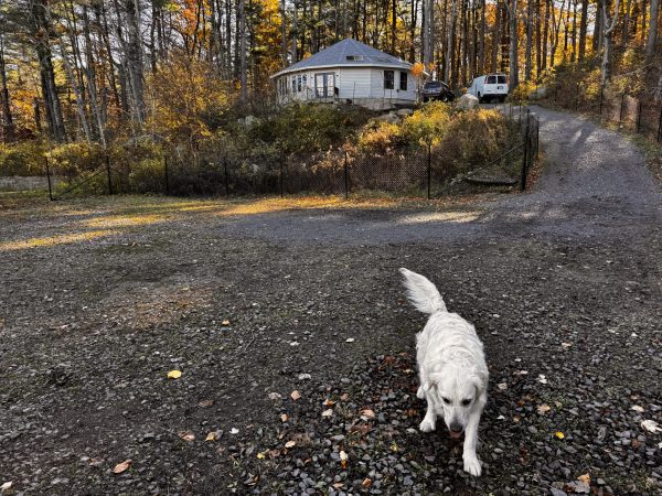 Book the Tide Pool Fenced Retreat
