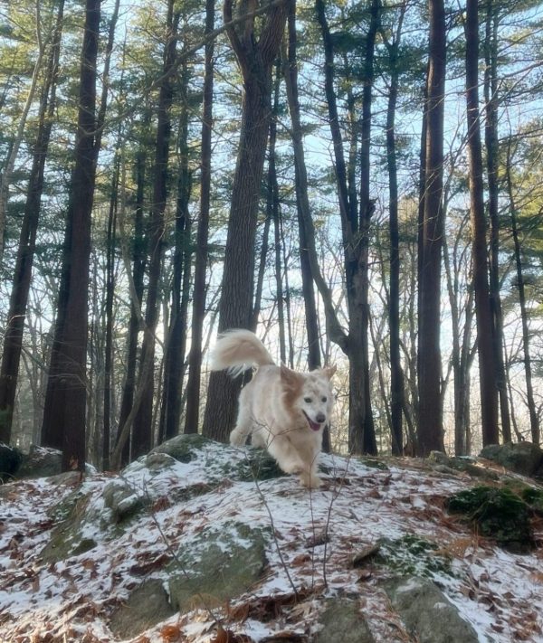 Travel Training with Cady